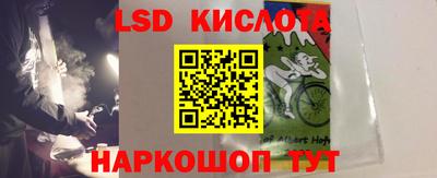PSILOCYBIN Гай