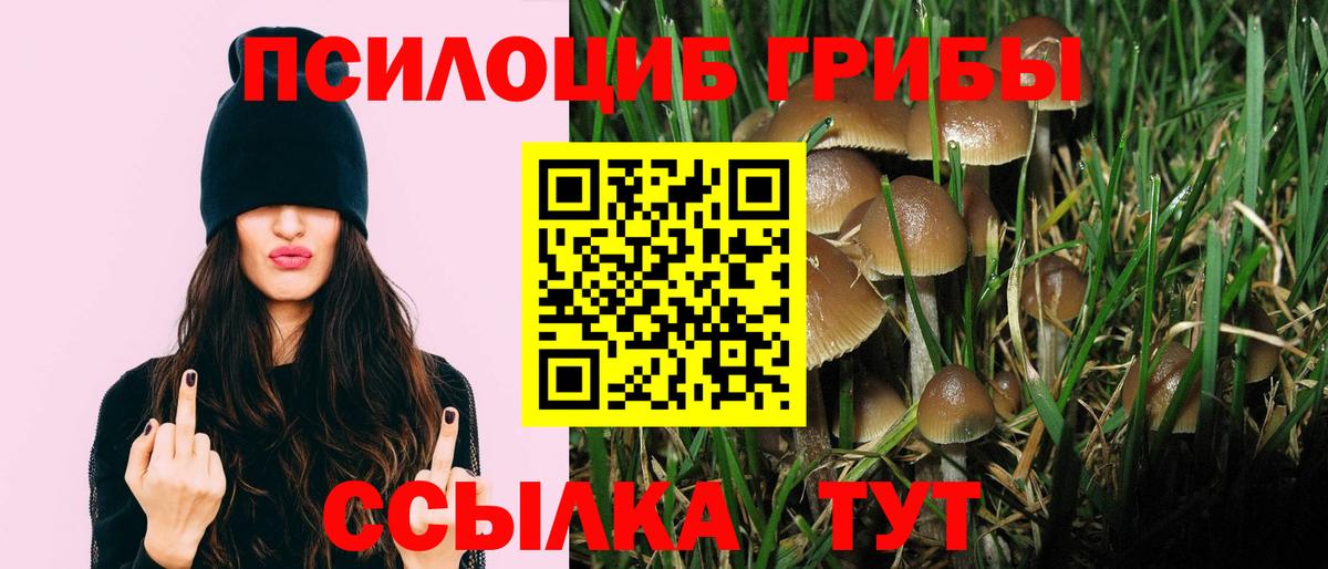 Лениногорск  купить наркотики сайты  Вход с VPN  Галлюциногенные грибы мухоморы 